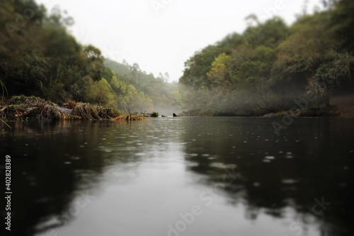 Vista de la niebla sobre el r  o