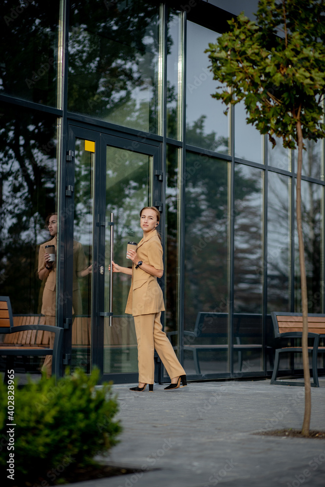 Business Women Style. Woman with Briefcase Going To Work. Portrait Of Beautiful Smiling Female In Stylish Office Clothes. High Resolution. Business Women Style. Woman with Briefcase Going To Work. Portrait Of Beautiful Smiling Female In Stylish Office Clothes. High Resolution.