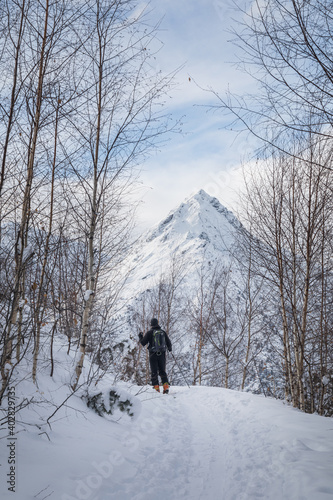 Person on a path in forest doing ski touring