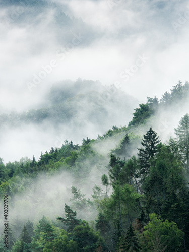Smoking Hills  Fog Rising from Forest