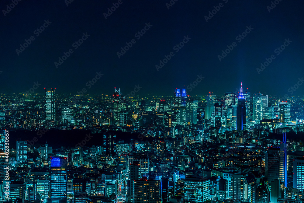 サイバーパンク都市, 東京・新宿の夜景