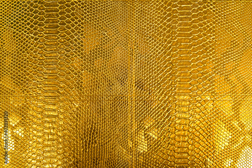 Golden texture of snake scales