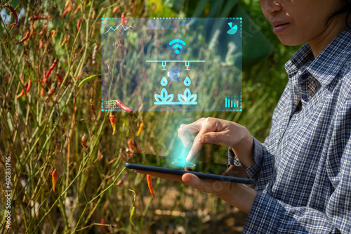 Women farmers are using tablets to order water sprinklers to work. Smart farm technology.