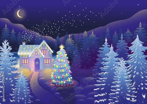 Christmas Night