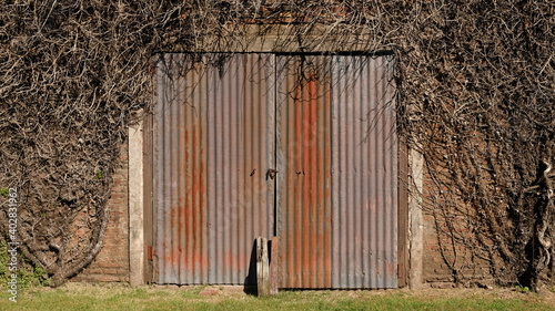 An old warehouse door, surrounded by an ivy photo