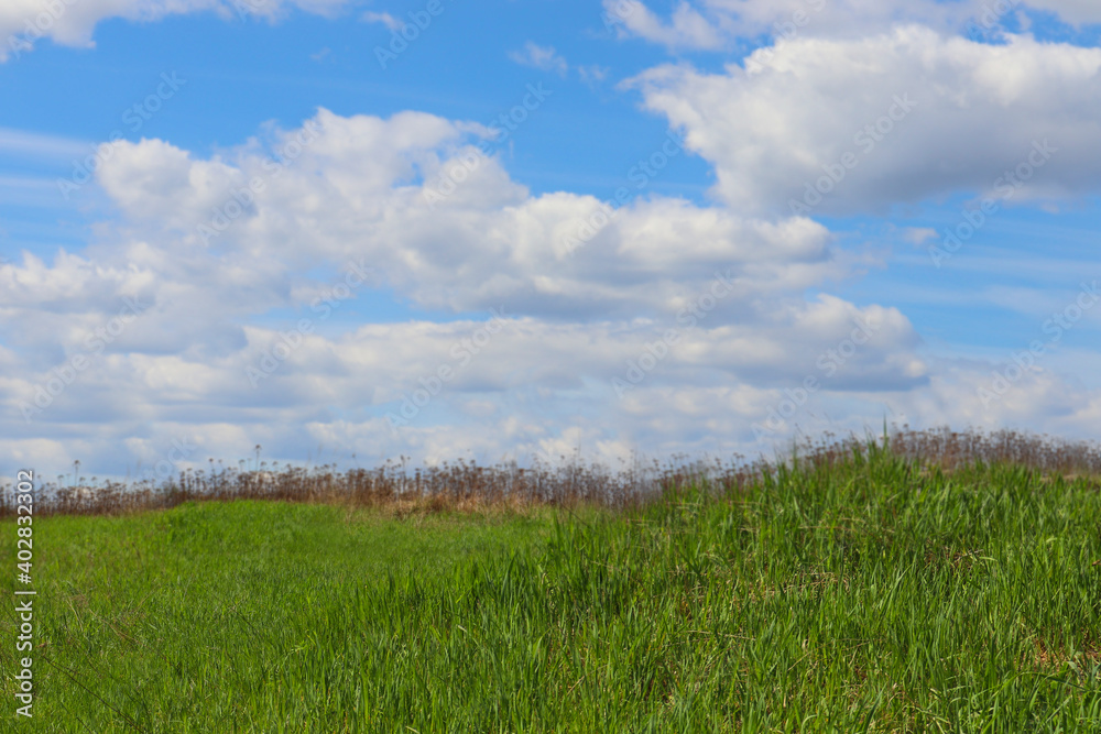 Summer background is green grass and blue sky with white clouds. natural background for the place of advertising. Spring time