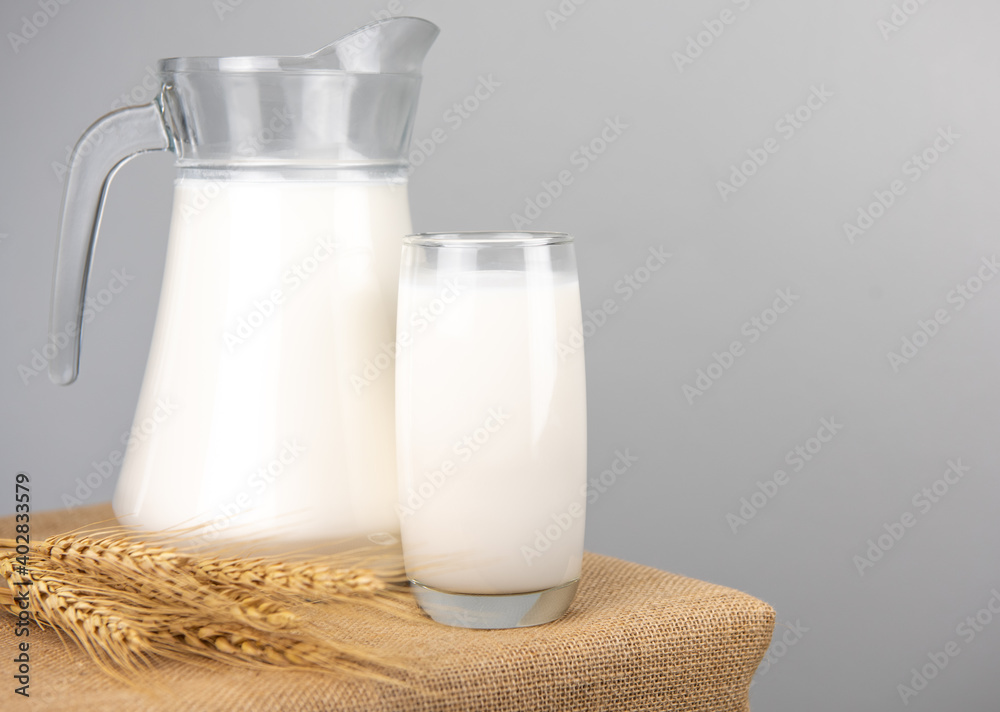 Jug of fresh milk glass and barley wheat on sackcloth for a background..Raw milk is high in calcium and protein to drink for all ages..Milk consumption nutritious and healthy dairy products concept. Jug of fresh milk glass and barley wheat on sackcloth for a background..Raw milk is high in calcium and protein to drink for all ages..Milk consumption nutritious and healthy dairy products concept.
