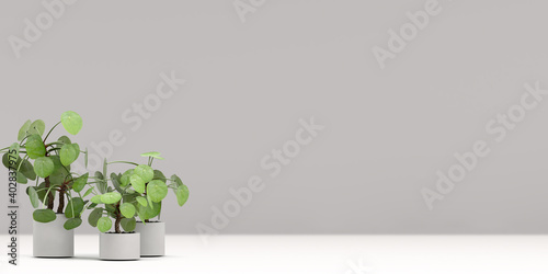 plant in a vase on the wall,plant in the interior 3D illustration ,3D rendering