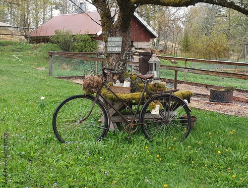 old bicycle in the garden