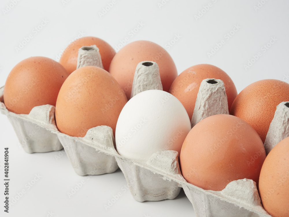 Chicken eggs in containers on a white background. Chicken eggs in containers on a white background.