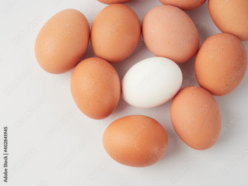 Chicken eggs in containers on a white background. Chicken eggs in containers on a white background.