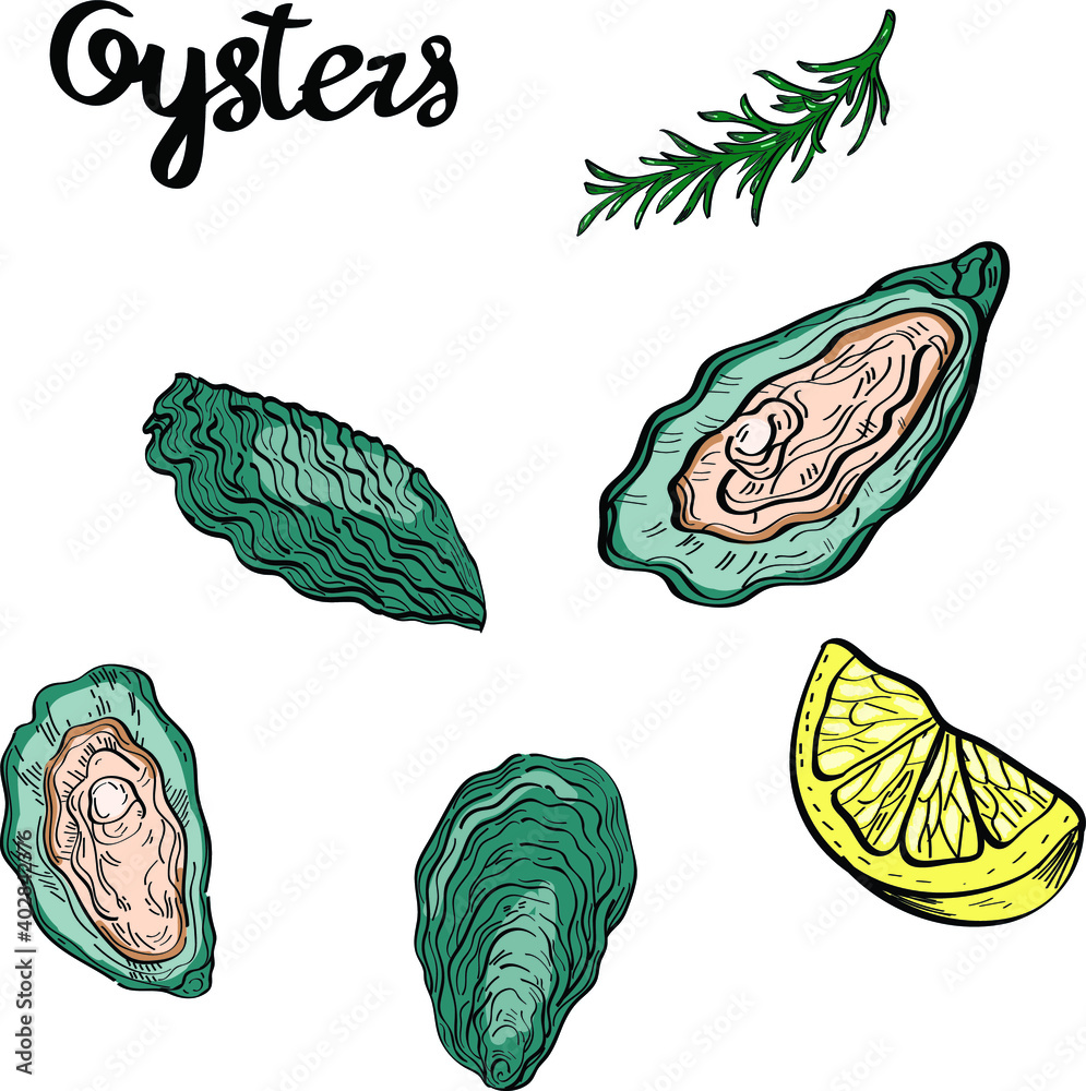 Fototapeta premium Oysters sea food, line art, hand drawn vector pattern isolated on white background. Concept for wallpaper, menu, cards, print, icon, logo
