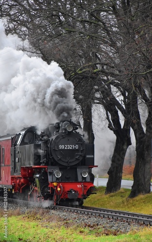 old steam locomotive of "Molli" train, Mecklenburg, Germany