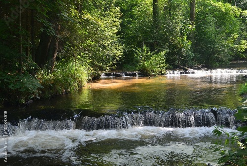 Rezerwat Szumy na Tanwii, Susiec, Poland
Rzeka z małymi wodospadami photo