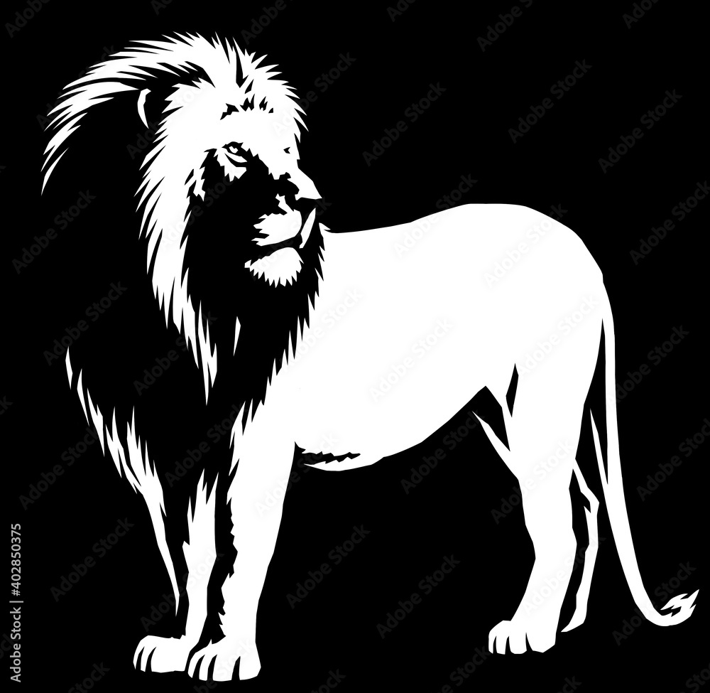 black and white linear paint draw lion illustration art