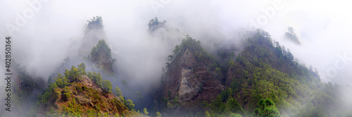 Kiefernwald mit Vulkankegel in Nebellandschaft, Insel La Palma, Kanaren, Spanien, Europa, Panorama