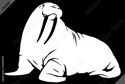 black and white linear paint draw walrus illustration art