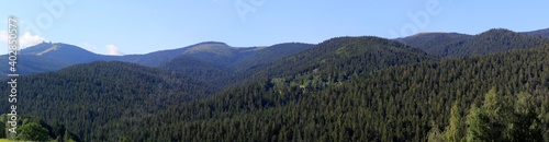  Bayerischer Wald  H  gellandschaft  Mittelgebirge   Bayern  Deutschland  Europa  Panorama 