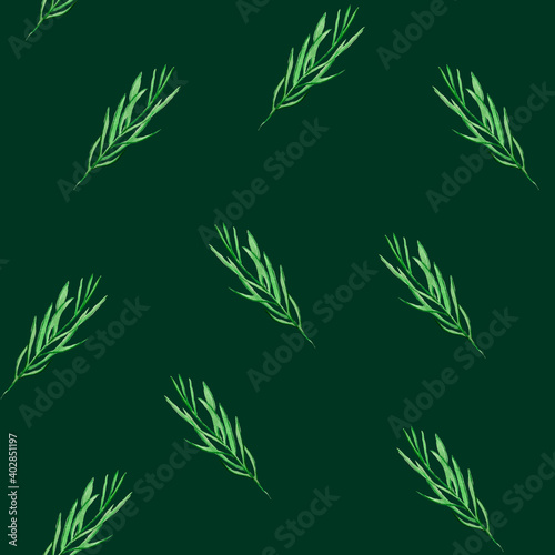 Green twig mistletoe on dark green. For decoration of gift wrapping  design works  postcards  design of fabrics and textiles  souvenirs  packaging design  invitation.