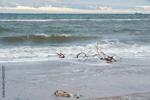 on a beach of the Baltic Sea is stormy weather in winter