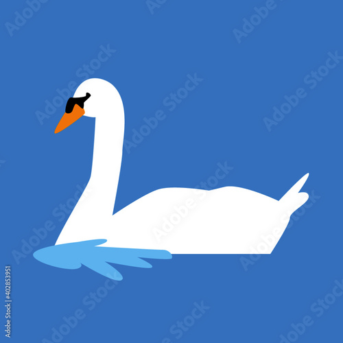 Cigne