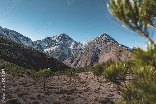 Snow covered peaks of Toubkal National Park Morocco, High Atlas Mountains. Sunrise light with blue sky. Small forect in the foreground. photo