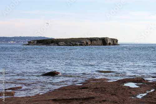 A view of Birds on Hilbre Island