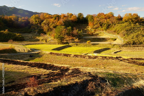 晩秋の田園風景（滋賀県大津市仰木）