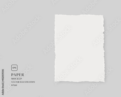 Blank torn paper. Paper mockup isolated on grey background. Mockup vector isolated. Template design. Realistic vector illustration.