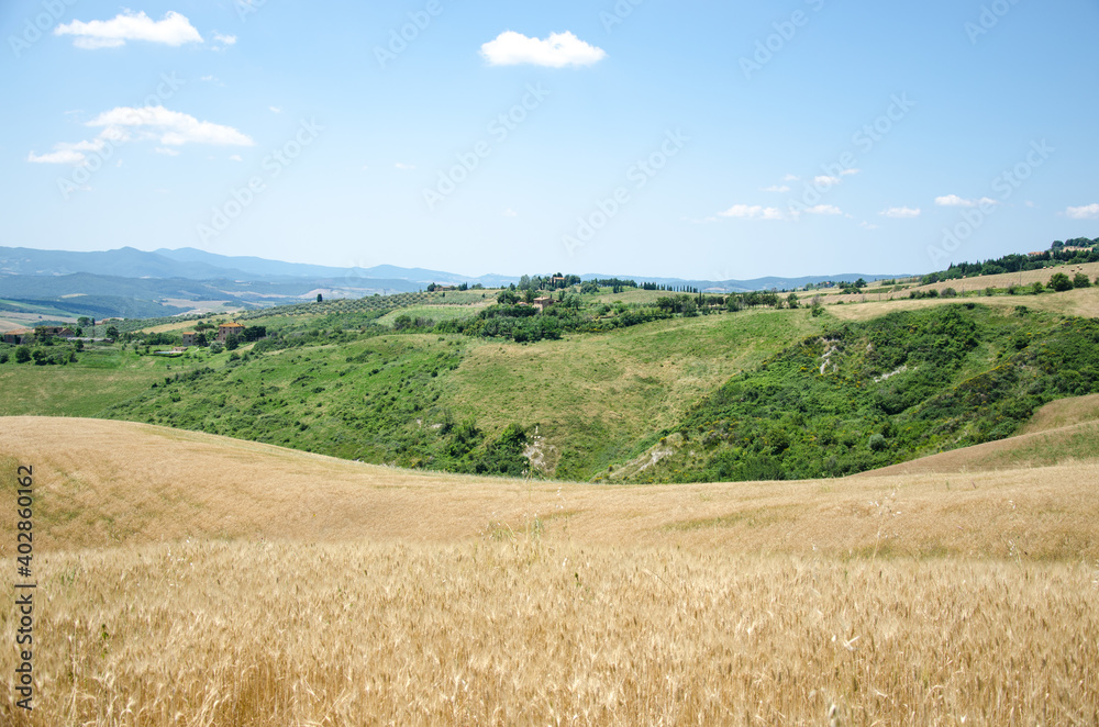 Rural landscape at summer along the road in Tuscany, Italy