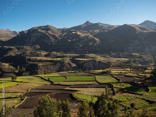 Panoramic view of green stepped terraces anden in andean mountain village town Maca Colca Canyon Arequipa Peru