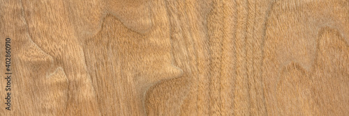 background and texture of wood veneer - walnut tree, panoramic web banner