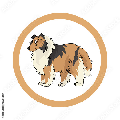 Cute cartoon Scootish Collie in dotty circle dog vector clipart. Pedigree kennel doggie breed for kennel club. Purebred domestic dog training for pet parlor. Illustration mascot. Isolated canine. 