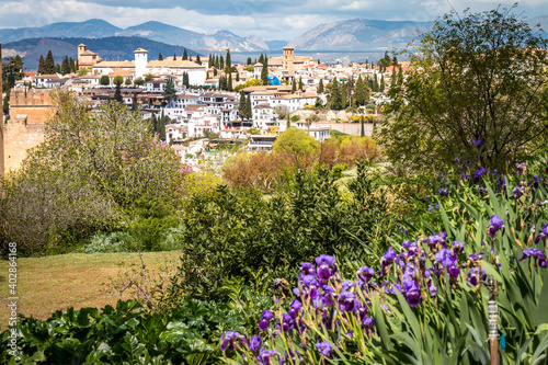 view over granada from alhambra palace, flowers, spain