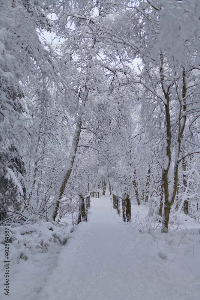 Ein wunderbarer Weg in einer märchenhaften Winterlandschaft Ein wunderbarer Weg in einer märchenhaften Winterlandschaft