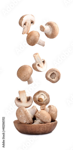 Faling mushroom in wooden plate.