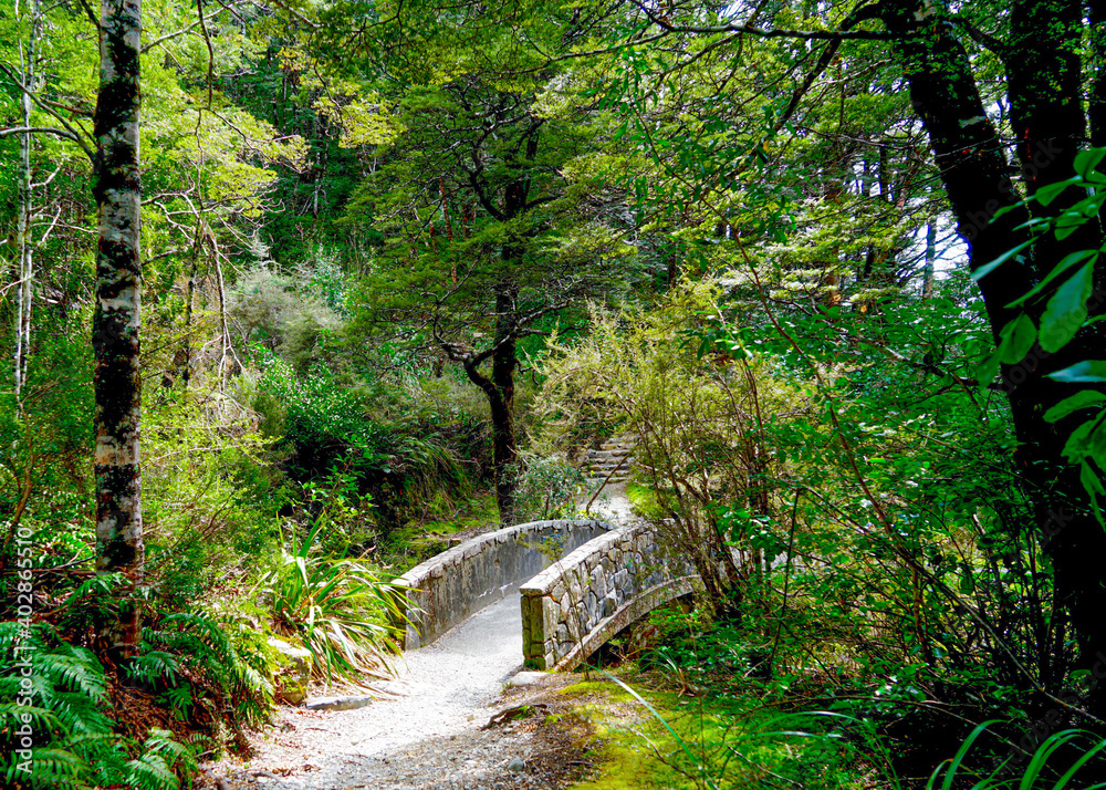 New Zealand, South Island, near Mount Cook Village, Small trail inside the forest.
New Zealand, South Island, near Mount Cook Village, Small trail inside the forest.