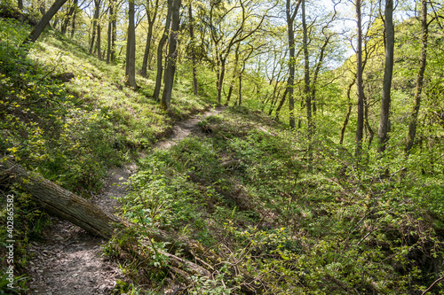 Wanderweg