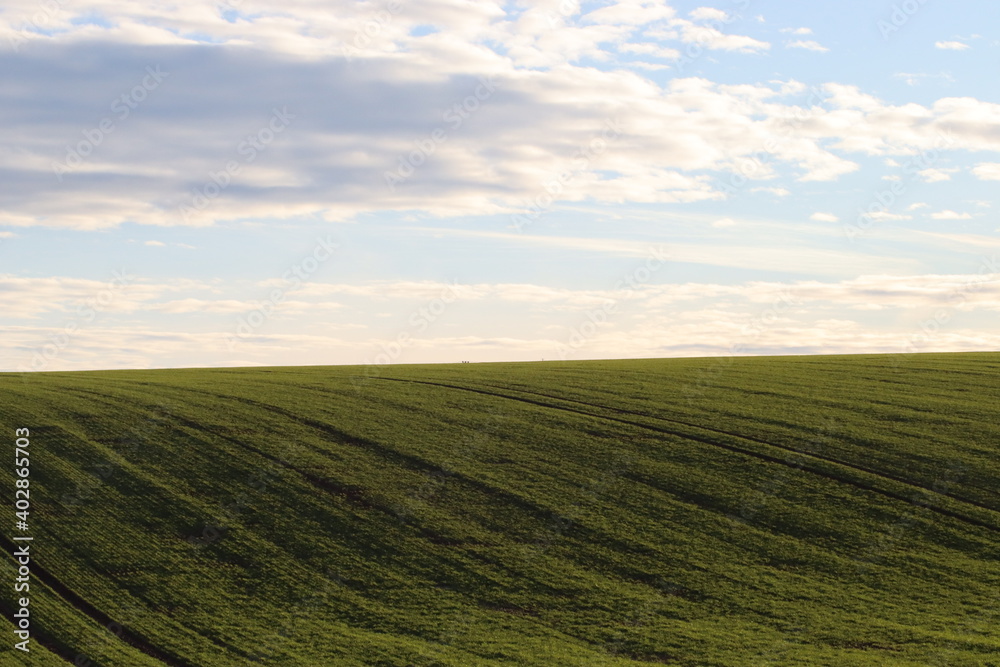 field with blue sky