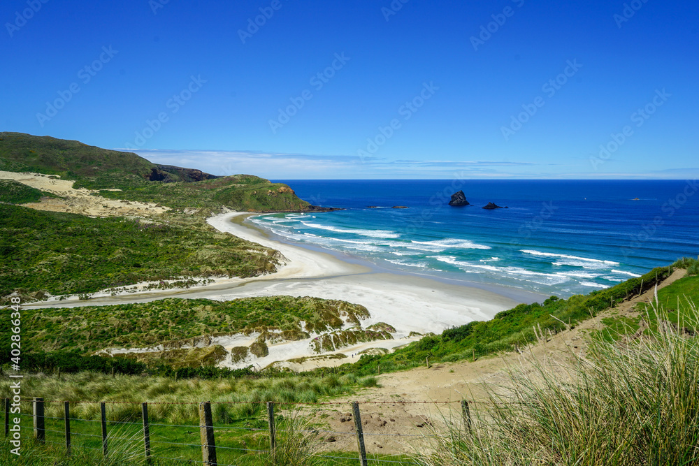 New Zealand, Otago Peninsula near Dunedin. Surfer on the beach.  