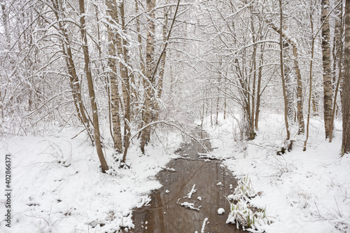 Winter forest covered with snow and a small river in Finland in Espoo. Scandinavian nature.