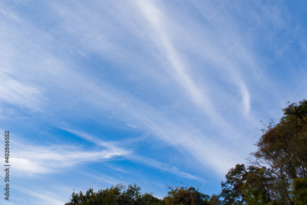 picture of dark blue sky with white cloud lines and trees in evening picture of dark blue sky with white cloud lines and trees in evening