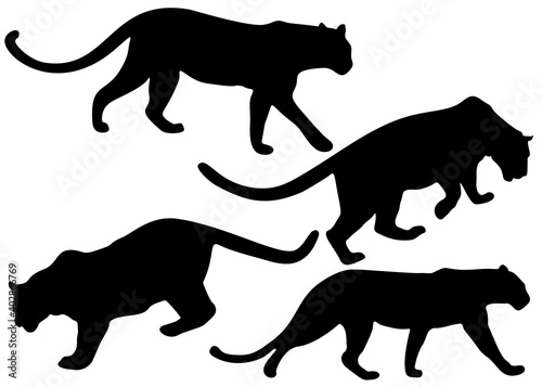 Wild and dangerous panthers in the set.
