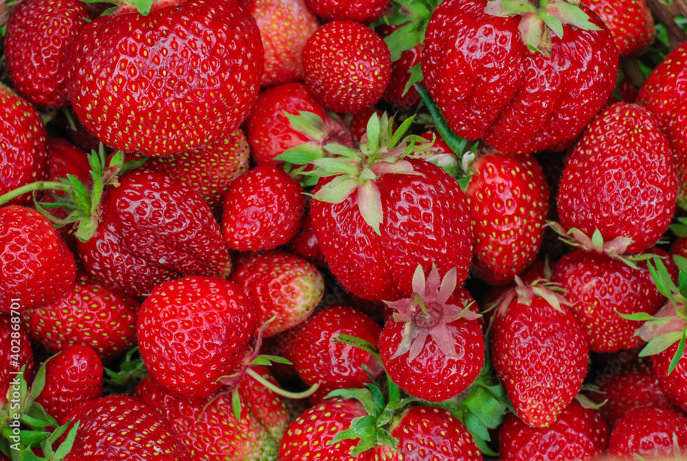 Background of ripe red strawberries close up