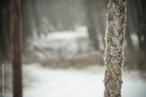 Fototapeta Naklejka Na Ścianę i Meble -  Lina w zimie