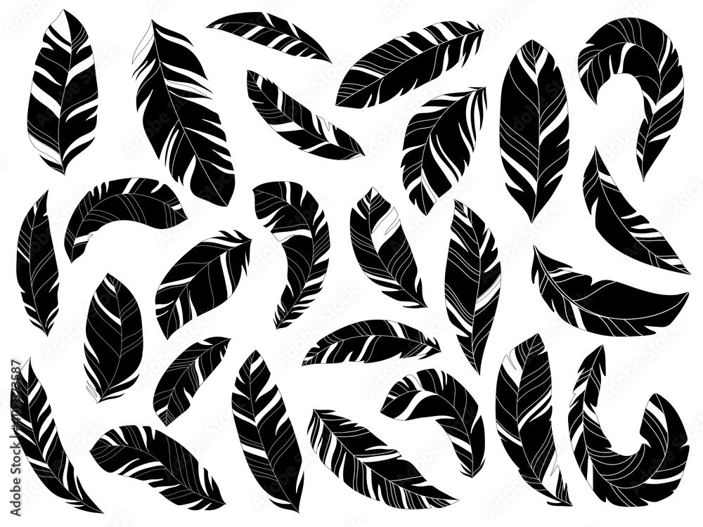 Vector Set of Stylized or Abstract Feathers and Feather Black Silhouettes on white background. Icon. Quill symbol, simple shape pictogram collection. Pen, bird plume doodle style flat element. Vector Set of Stylized or Abstract Feathers and Feather Black Silhouettes on white background. Icon. Quill symbol, simple shape pictogram collection. Pen, bird plume doodle style flat element.