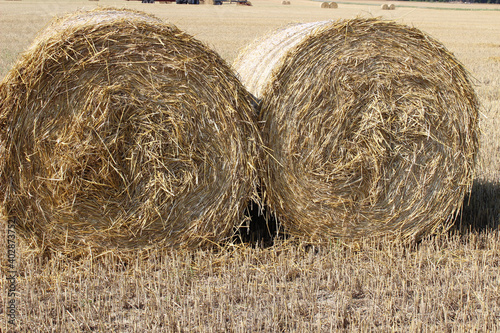 Hay bales and field stubble