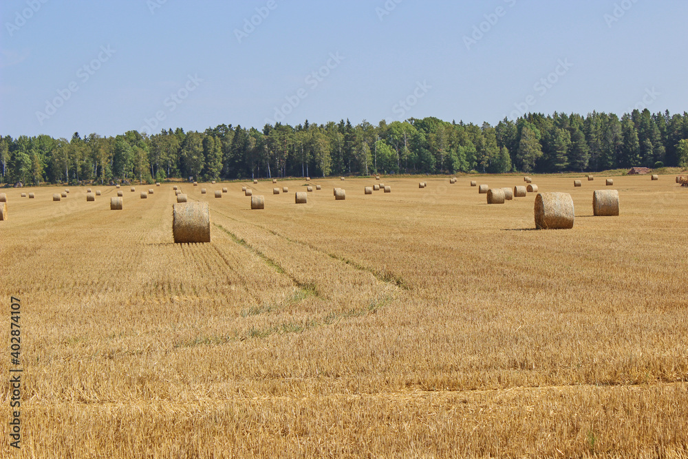 Hay bales and field stubble