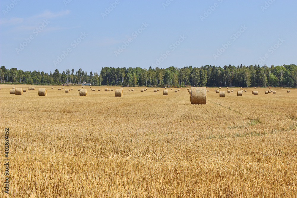 Fototapeta premium Hay bales and field stubble