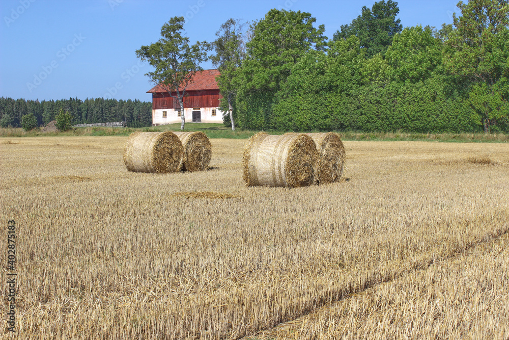 Hay bales and field stubble